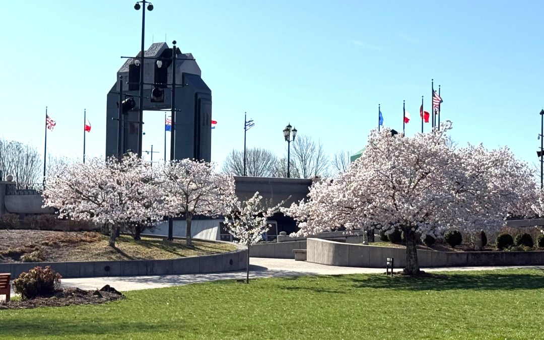 Photos from the Lunchbox Lecture at the National D-Day Memorial